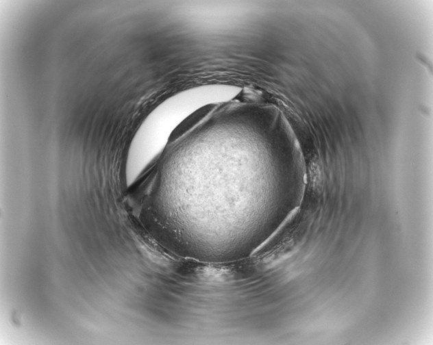 X0000093420570200711021017