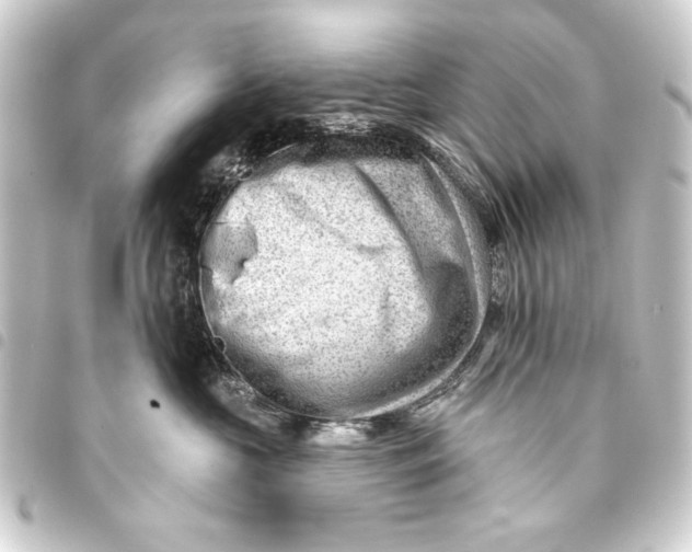 X0000093420573200711021017