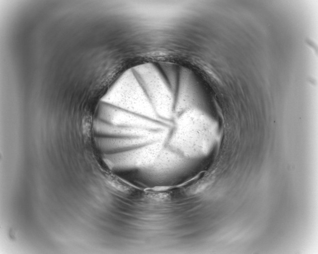 X0000093420576200711021017