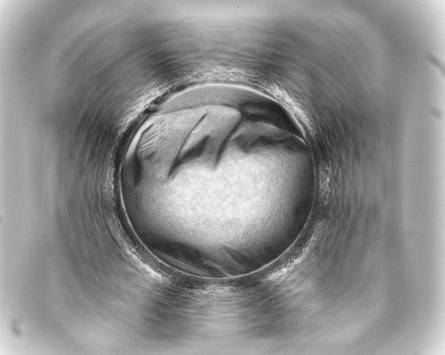 X0000093420581200711021016