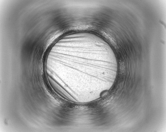 X0000093420582200711021016