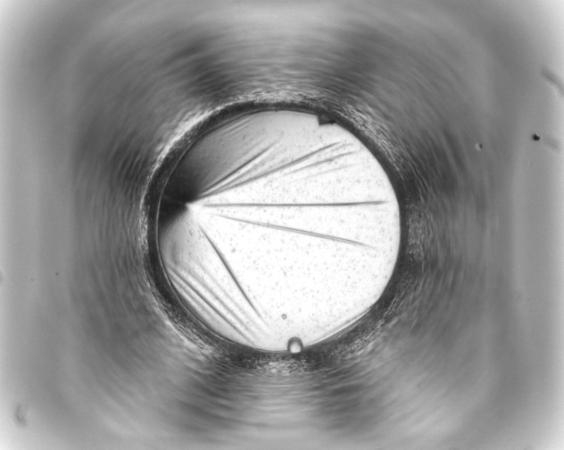 X0000093420584200711021016