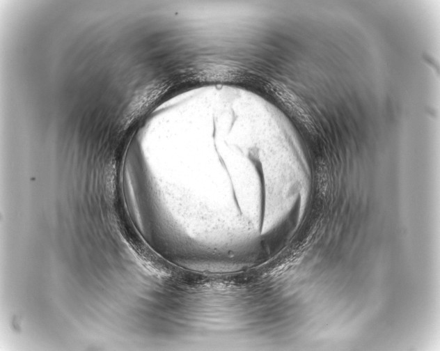 X0000093420586200711021016