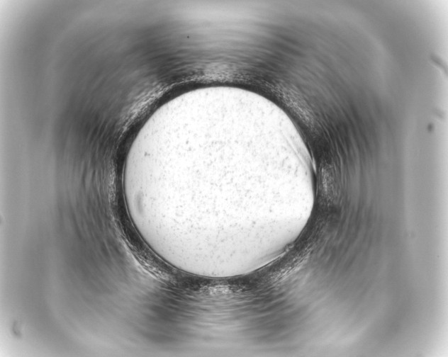 X0000093420588200711021016