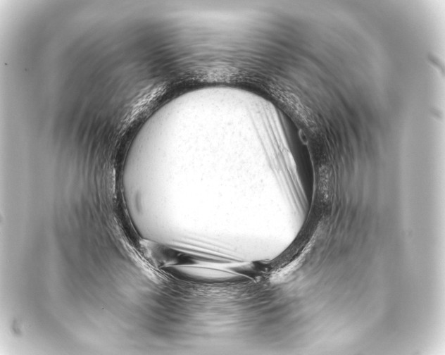 X0000093420589200711021016