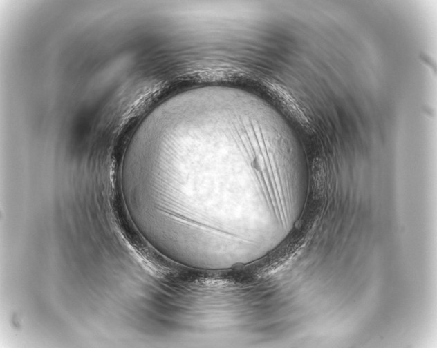 X0000093420590200711021016