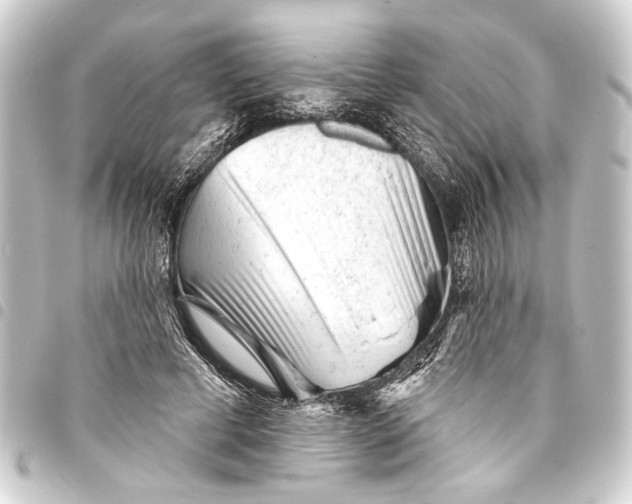 X0000093420593200711021016