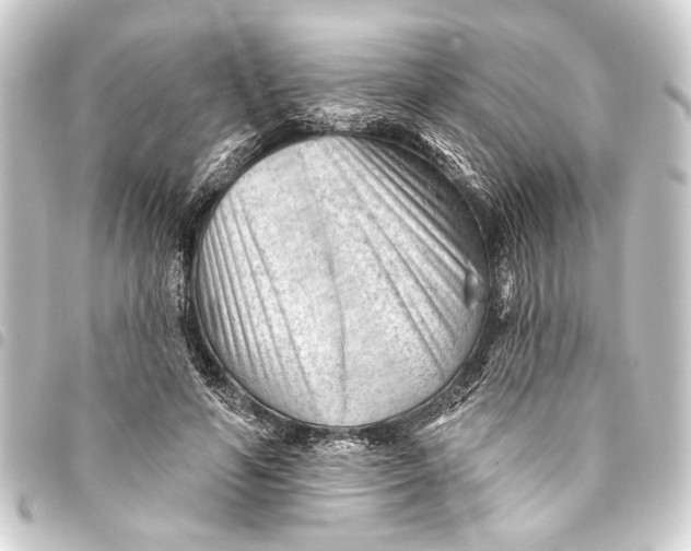 X0000093420594200711021016