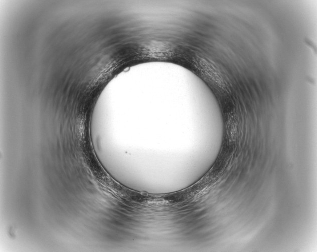 X0000093420595200711021016