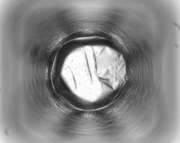 X0000093420596200711021016