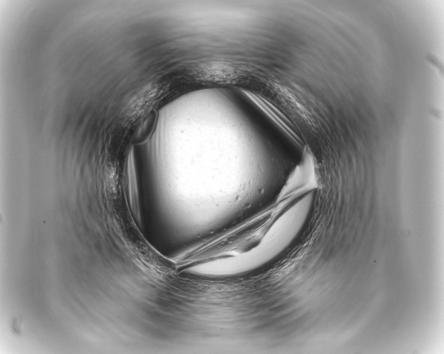 X0000093420597200711021016