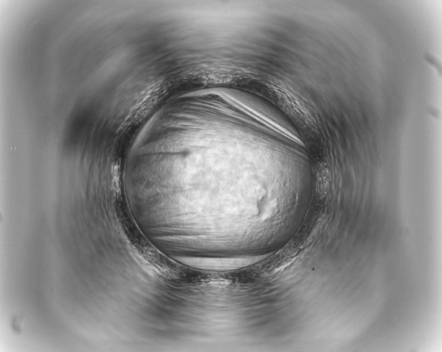 X0000093420598200711021016