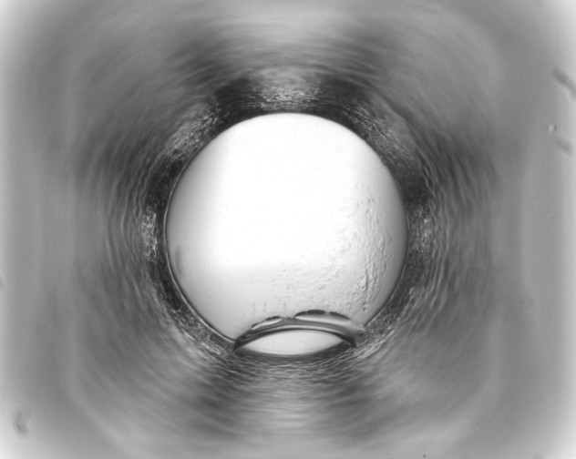 X0000093420599200711021016