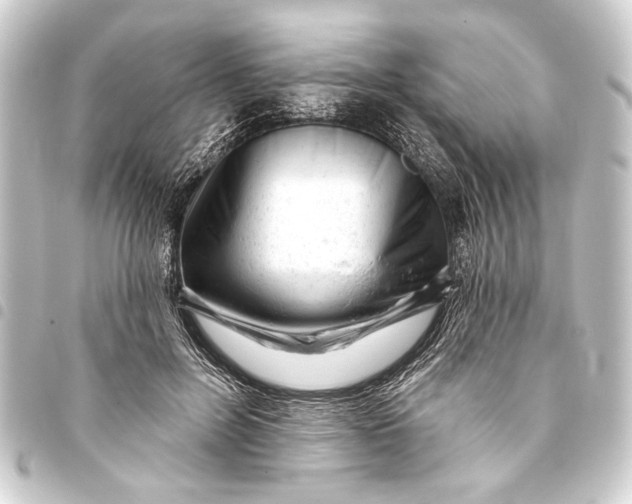 X0000093420600200711021016