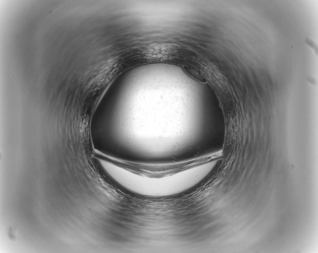 X0000093420601200711021016