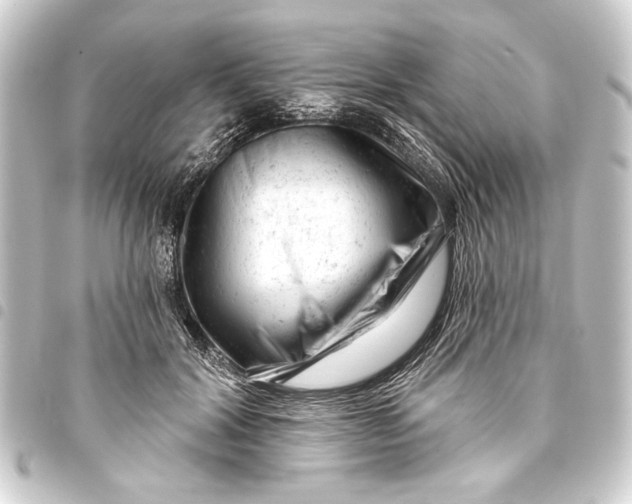 X0000093420604200711021016