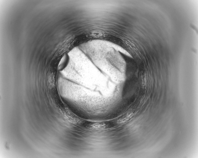 X0000093420606200711021016