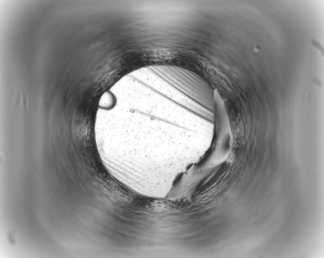 X0000093420608200711021016