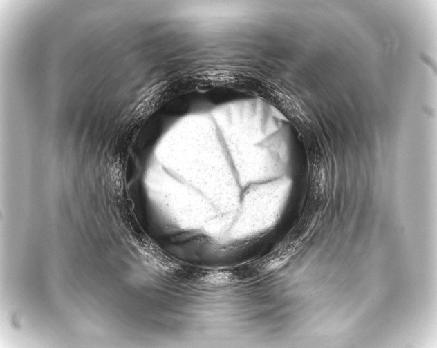 X0000093420609200711021016