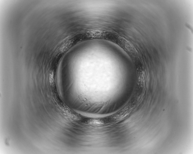 X0000093420610200711021016