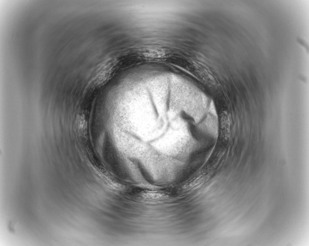 X0000093420614200711021016