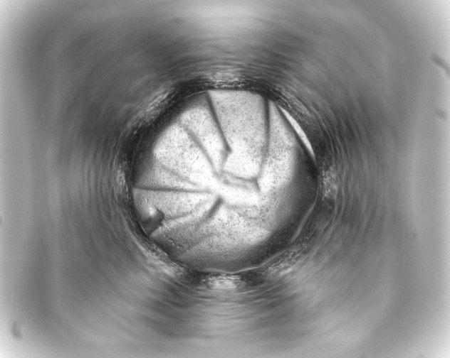 X0000093420618200711021016