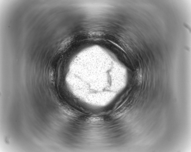 X0000093420619200711021016