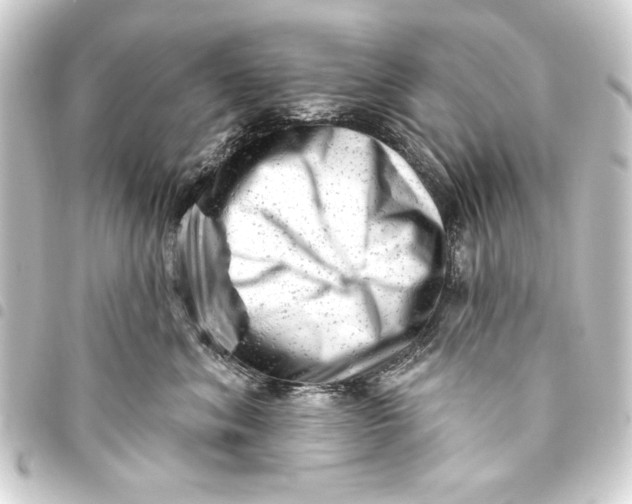 X0000093420620200711021016