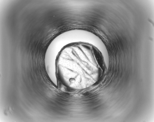 X0000093420621200711021016