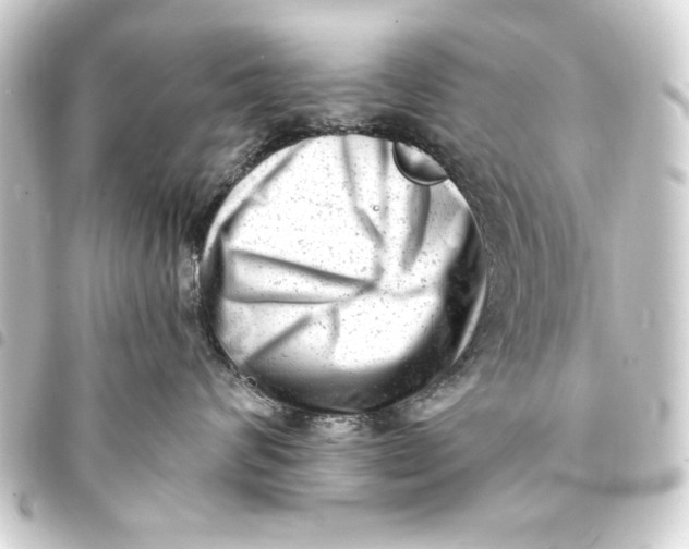 X0000093420624200711021016