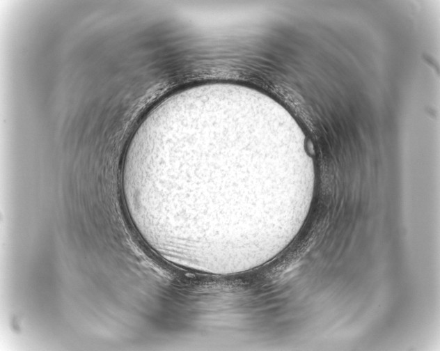 X0000093420625200711021015