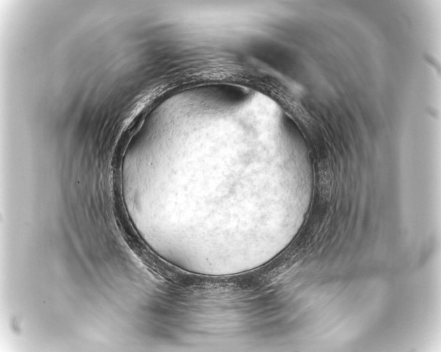 X0000093420626200711021015