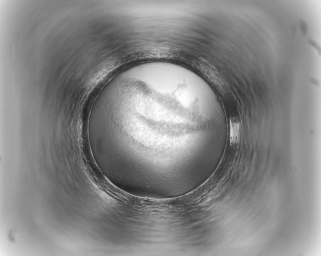 X0000093420627200711021015