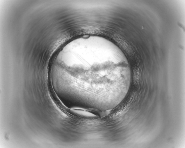 X0000093420630200711021015