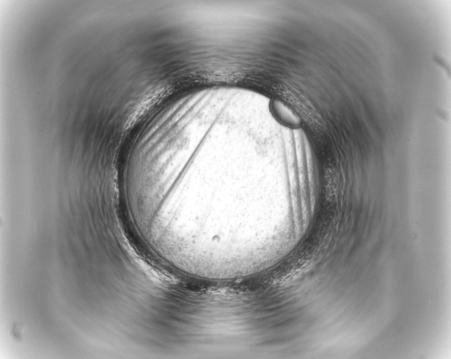 X0000093420634200711021015