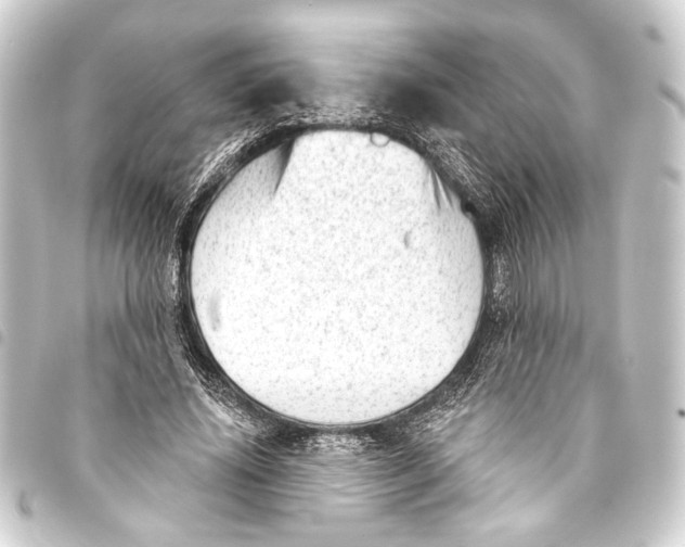 X0000093420636200711021015