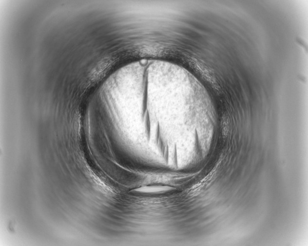 X0000093420637200711021015