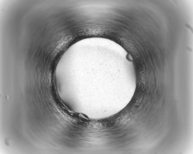 X0000093420640200711021016