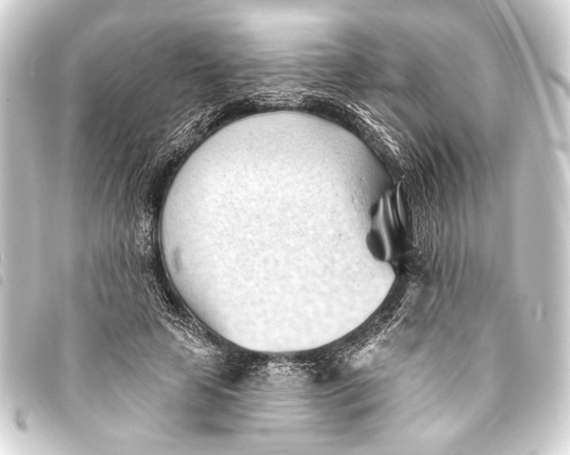 X0000093420641200711021016