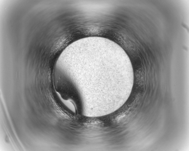 X0000093420642200711021016