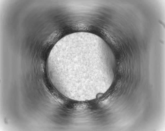 X0000093420643200711021016