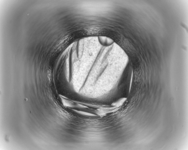 X0000093420648200711021016