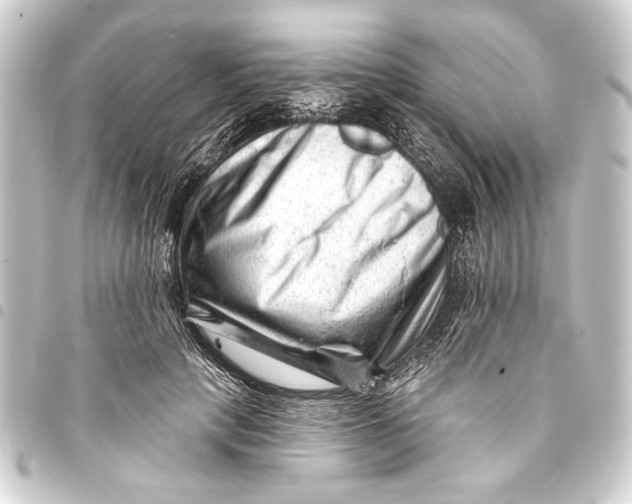 X0000093420649200711021016