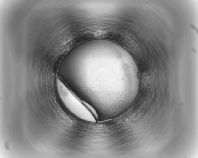 X0000093420650200711021016