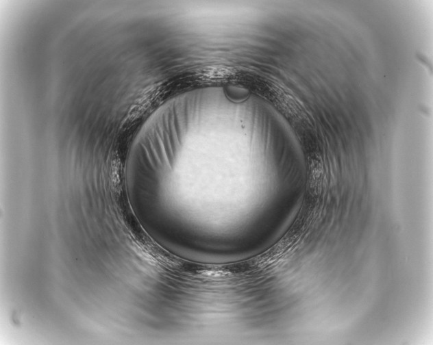 X0000093420654200711021016