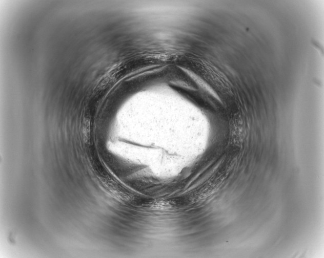 X0000093420656200711021016