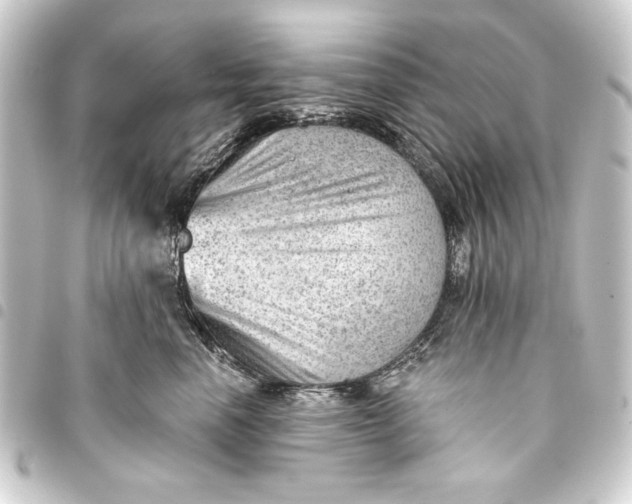 X0000093420666200711021016