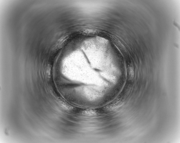 X0000093420668200711021016