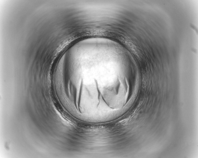 X0000093420674200711021015