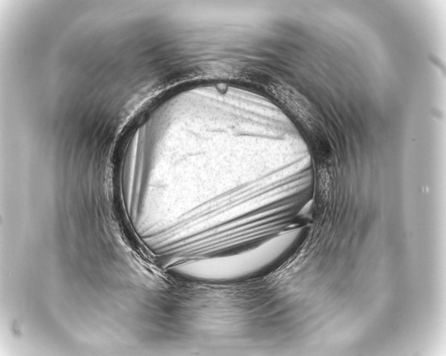 X0000093420676200711021015